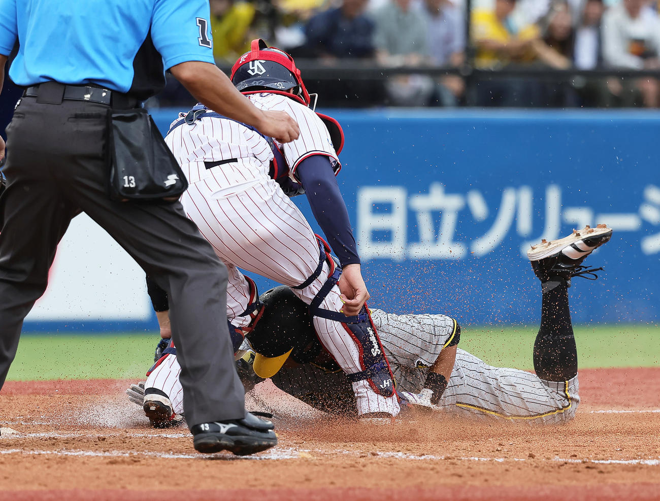 ヤクルト対阪神　9回表阪神2死一塁、佐藤輝の左二塁打で本塁を狙った代走植田（右）はアウトとなる。捕手松本直（撮影・足立雅史）