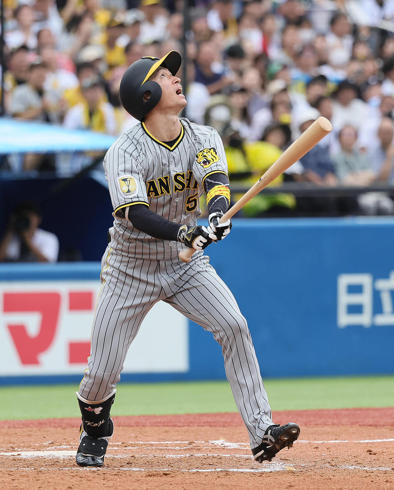 ヤクルト対阪神　8回表阪神1死一、二塁、近本は二飛に倒れる（撮影・足立雅史）