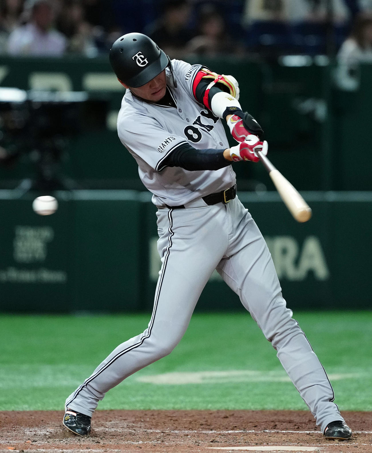 巨人坂本勇人（2024年6月22日撮影）