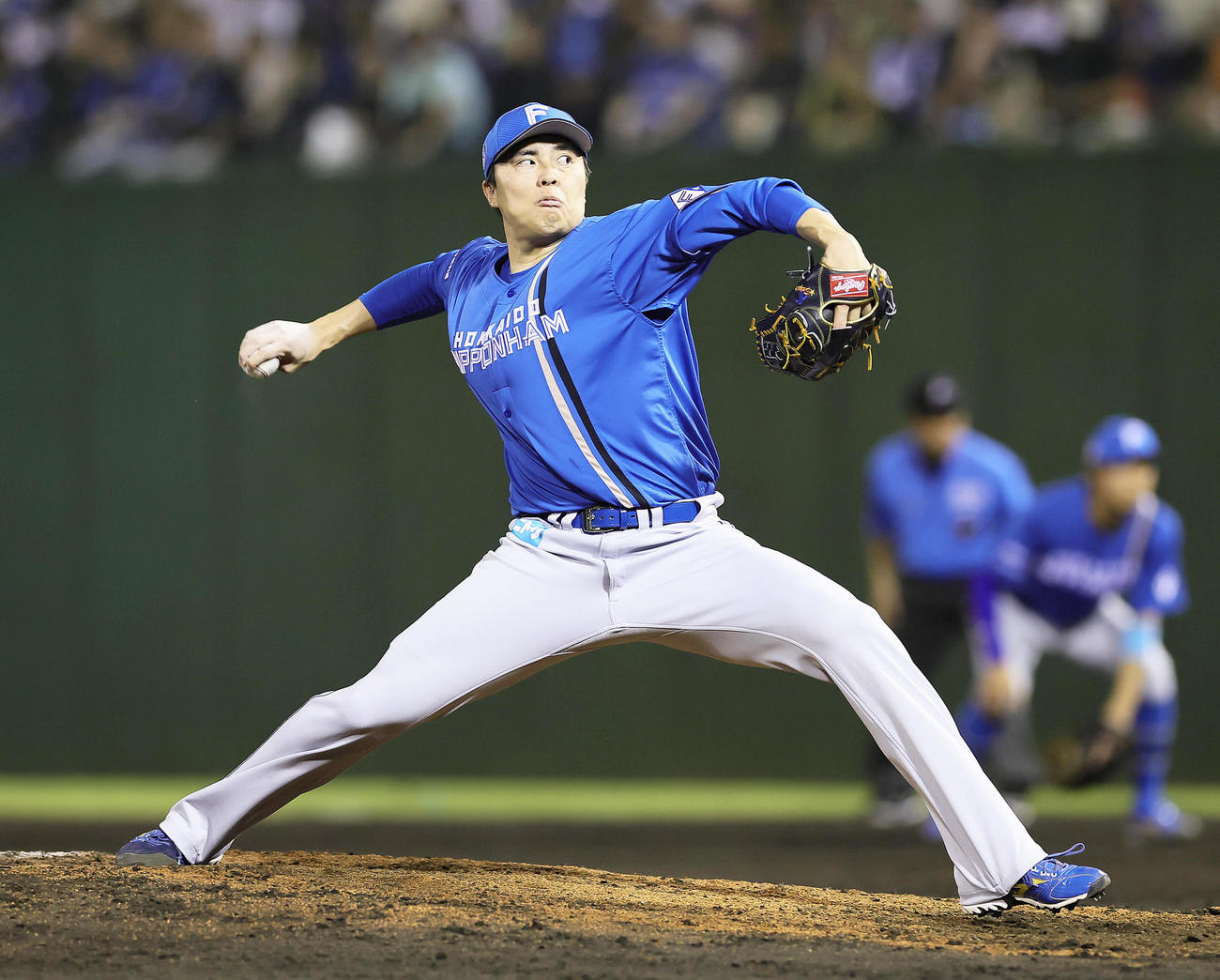 日本ハム田中正義（2024年6月26日撮影）