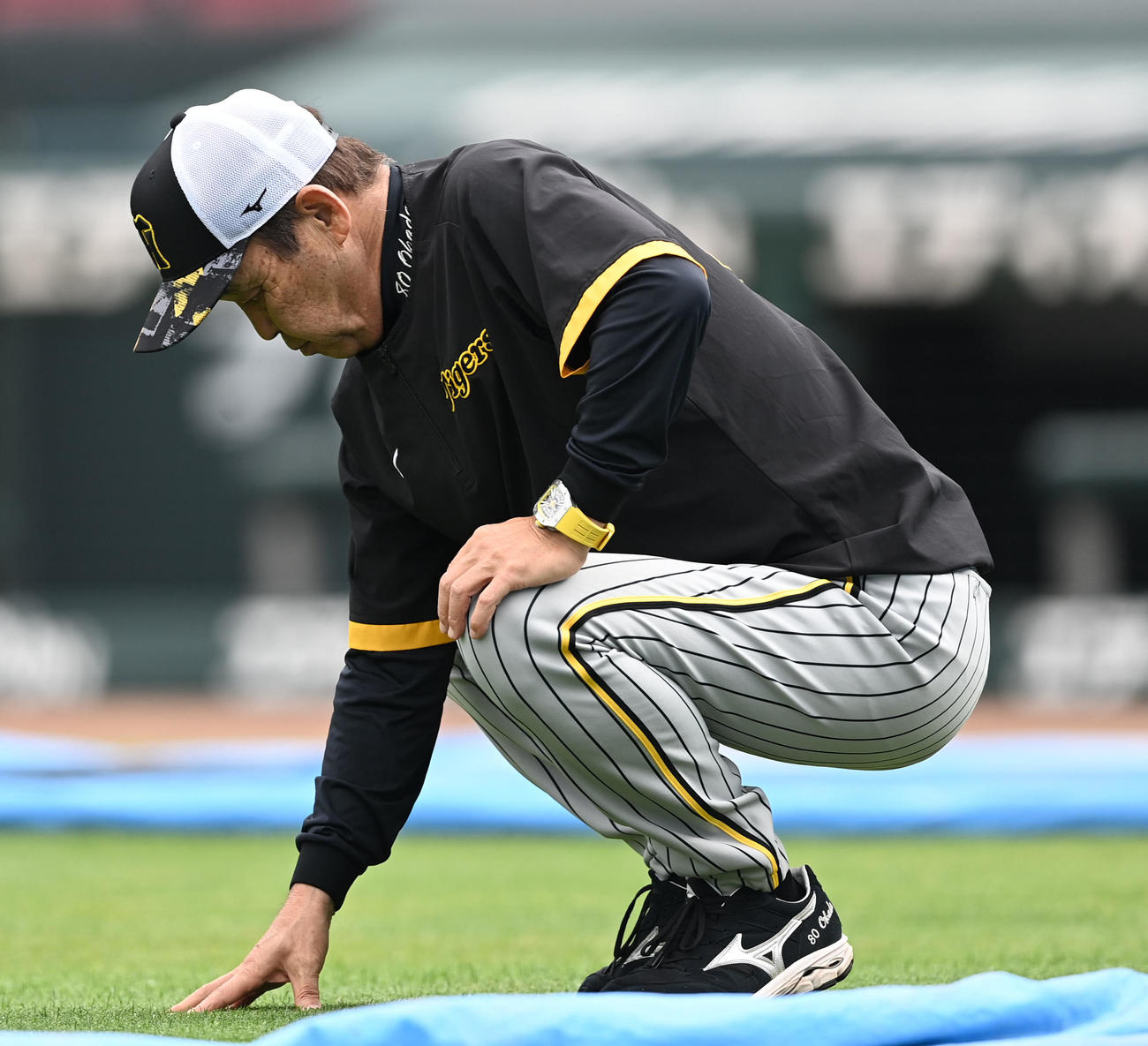 広島対阪神　グラウンドの状態を確認する岡田監督（撮影・前岡正明）