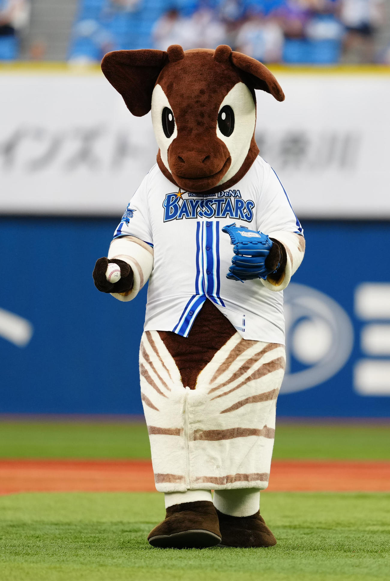 DeNA対ヤクルト　試合前、始球式に臨むズーラシアのマスコットキャラクターのオカピ（撮影・江口和貴）