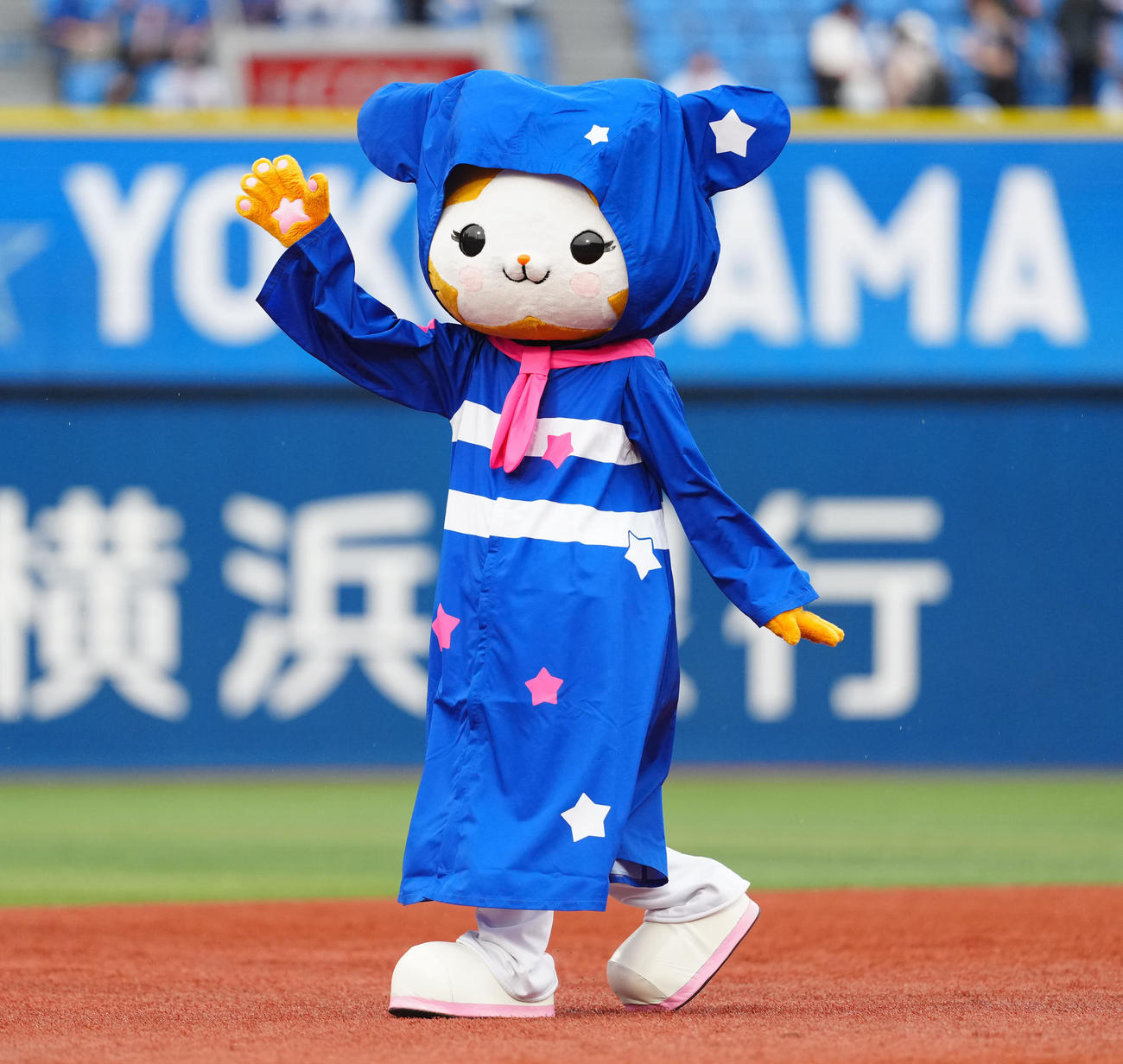 DeNA対ヤクルト　試合前、レインコートを着るDB．キララ（撮影・江口和貴）