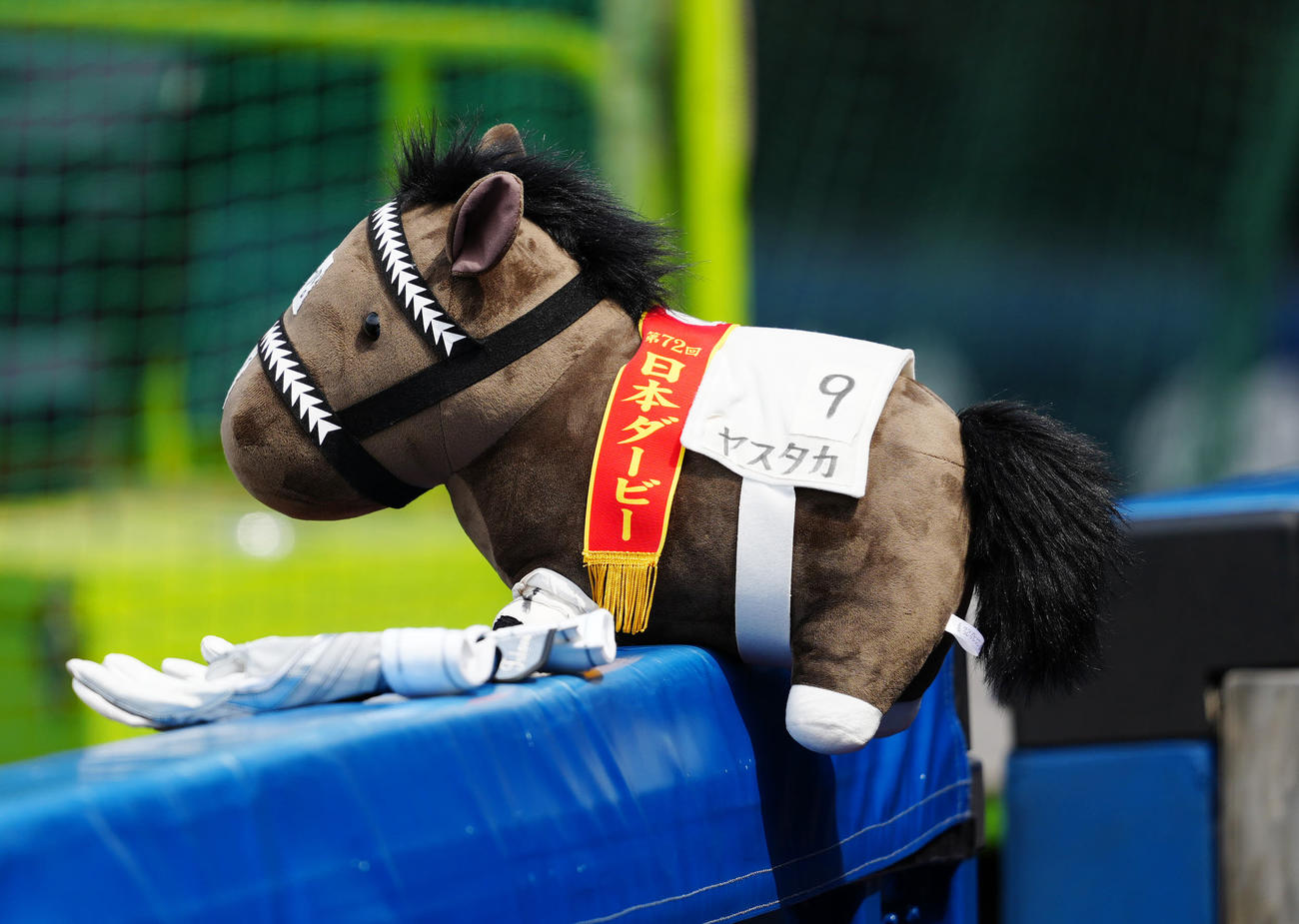 DeNA対ヤクルト　試合前、ベンチ前に置かれた馬のぬいぐるみ「シオミヤスタカ号」（撮影・江口和貴）