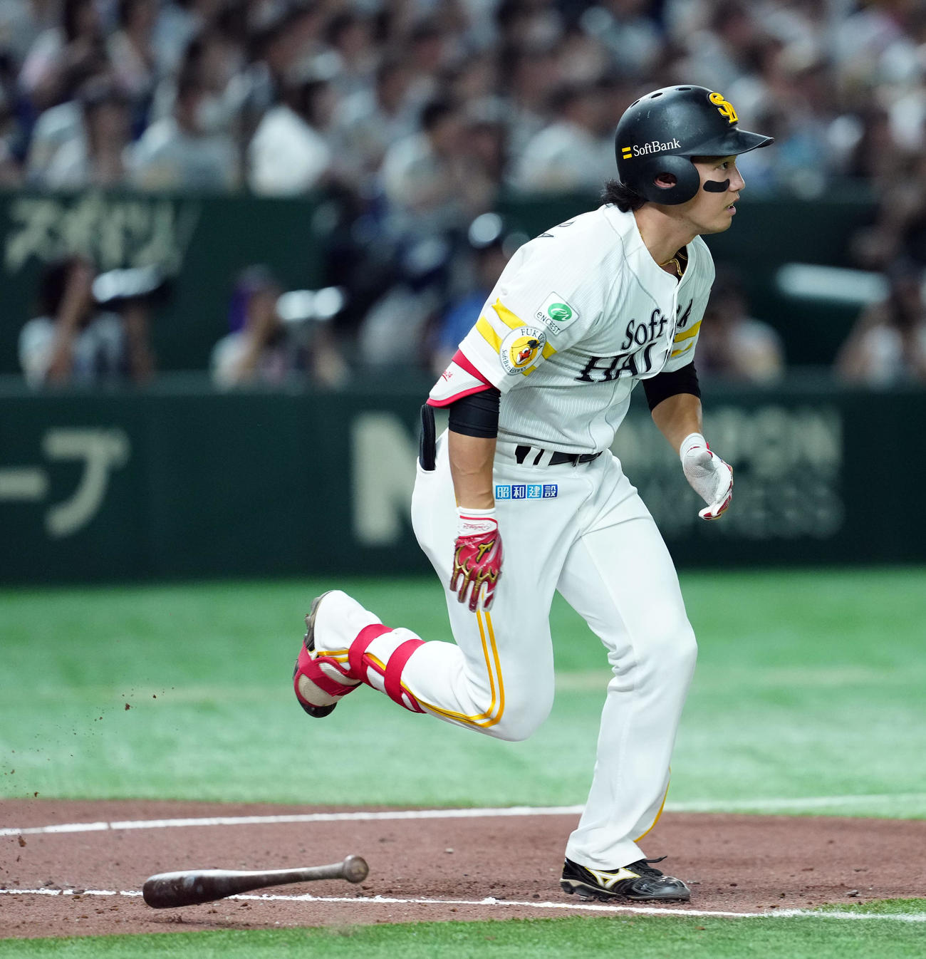 ソフトバンク対西武　8回裏ソフトバンク1死、右前に安打を放つ栗原陵（撮影・たえ見朱実）