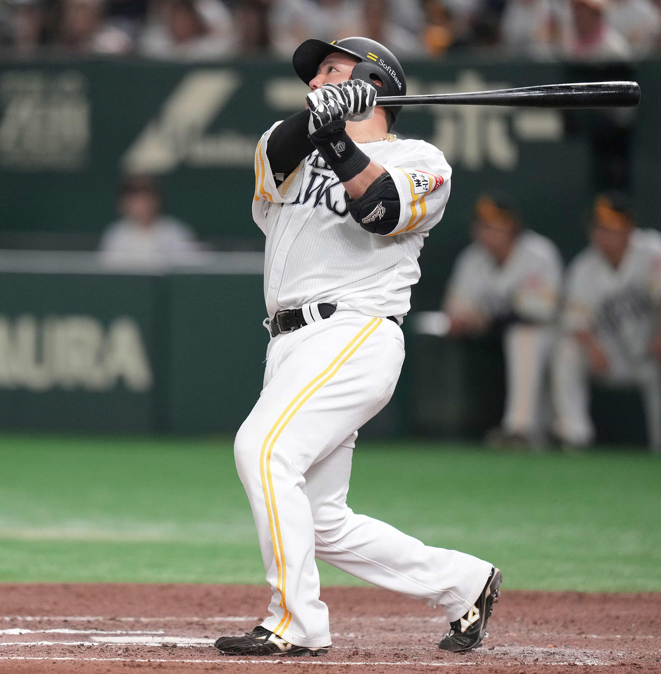 ソフトバンク対西武　6回裏ソフトバンク1死、左中間にソロ本塁打を放つ山川（撮影・鈴木みどり）
