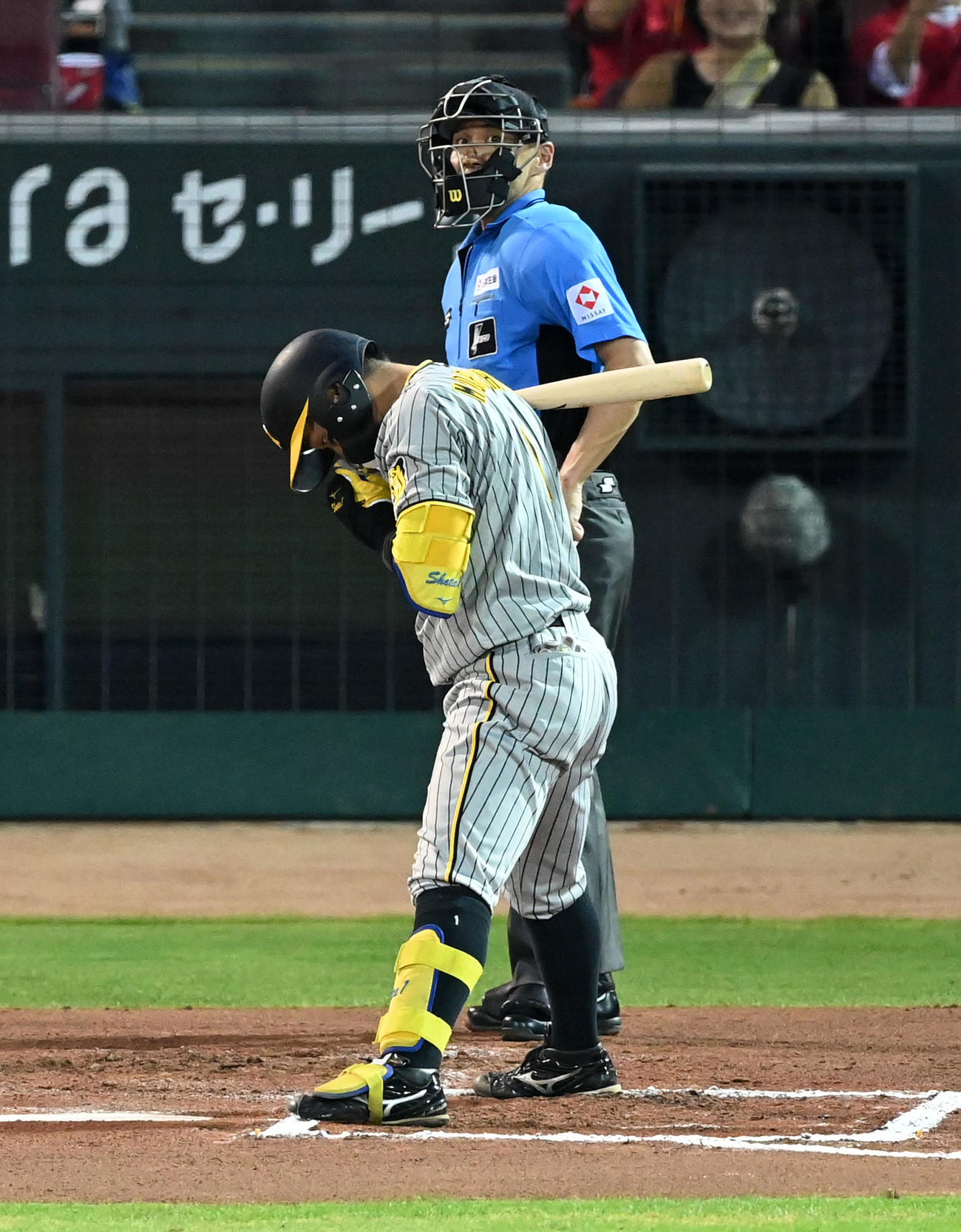 広島対阪神　6回表阪神2死、森下は見逃し三振に倒れる（撮影・前岡正明）