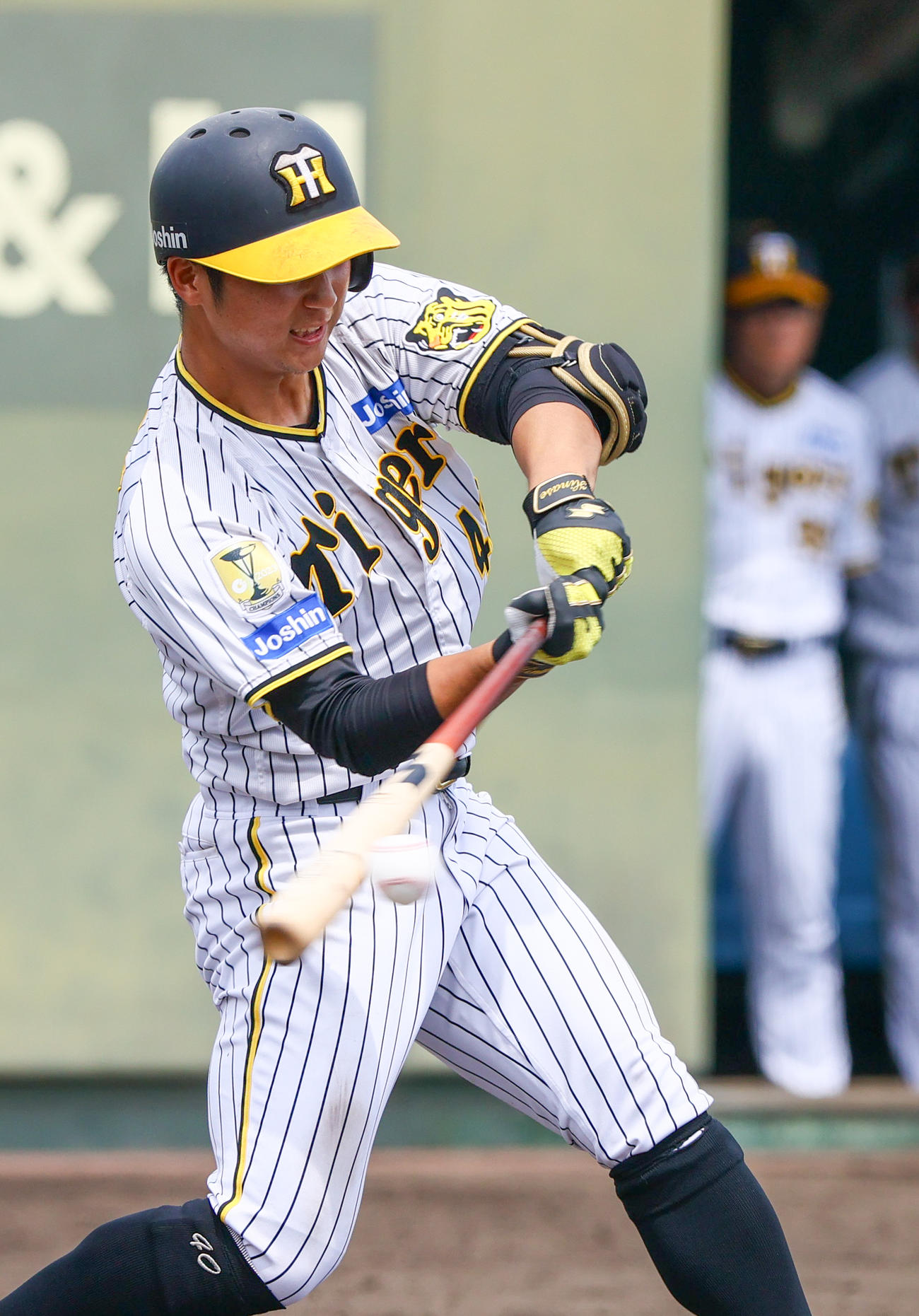 ウエスタン・リーグ阪神対中日　4回裏阪神1死、井坪は右前打を放つ（撮影・上山淳一）