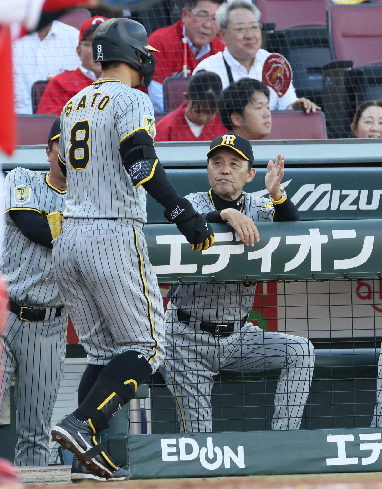 広島対阪神　2回表阪神1死、先制右越え本塁打を放った佐藤輝（左）を迎える岡田監督（撮影・加藤孝規）