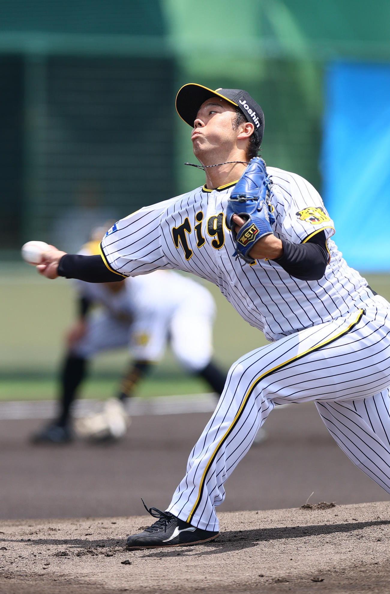 ウエスタン・リーグ阪神対中日　阪神先発の青柳（撮影・上山淳一）