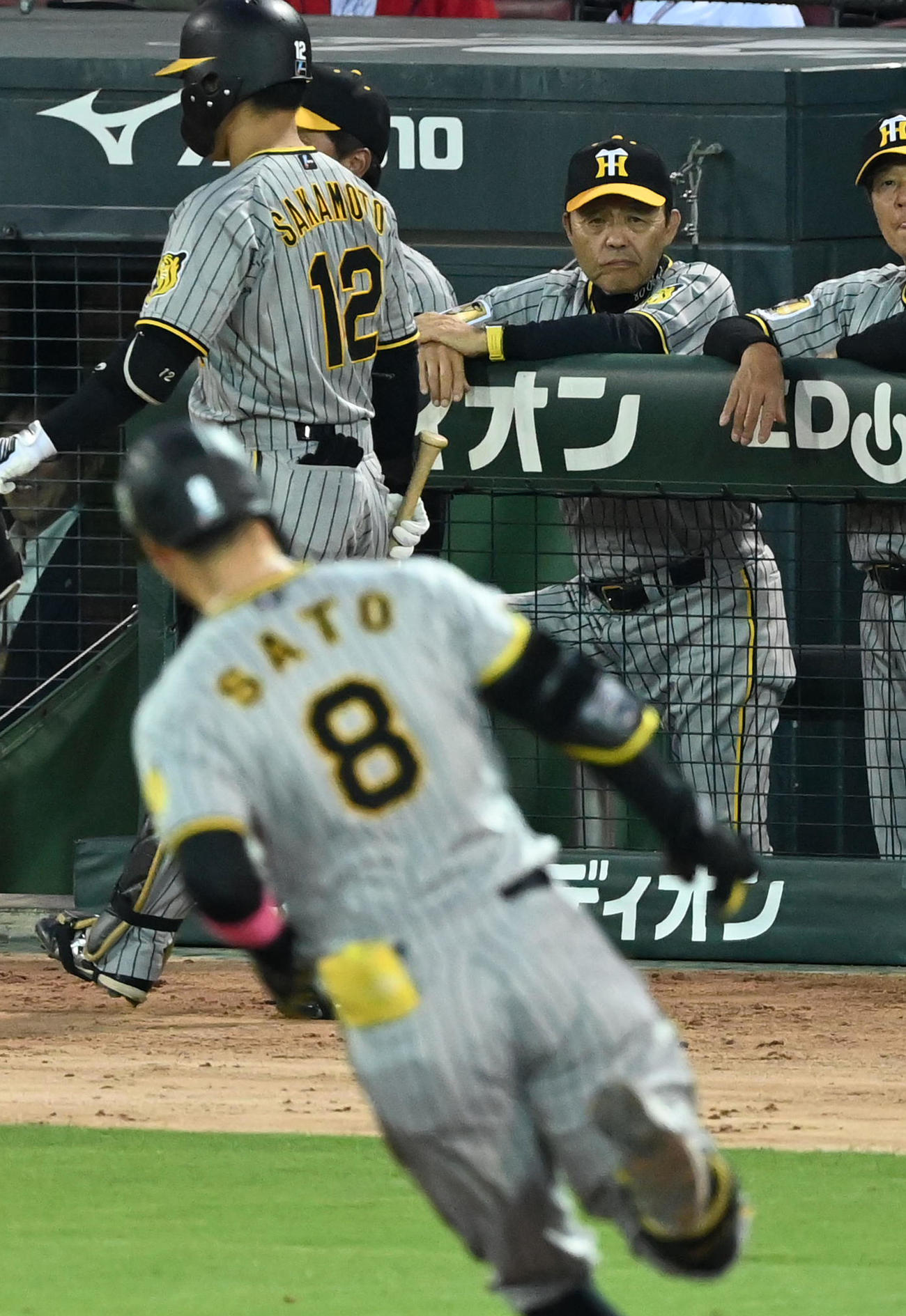 広島対阪神　6回表阪神2死、左越え本塁打を放った佐藤輝を見る岡田監督（撮影・前岡正明）