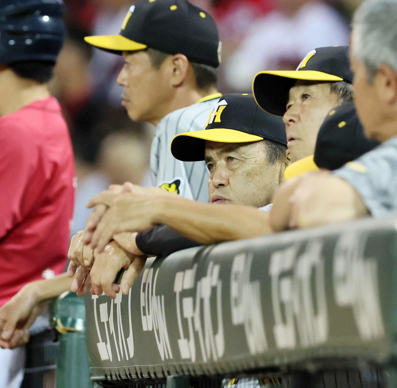 広島対阪神　5回裏、ベンチで厳しい表情を見せる岡田監督（撮影・加藤哉）