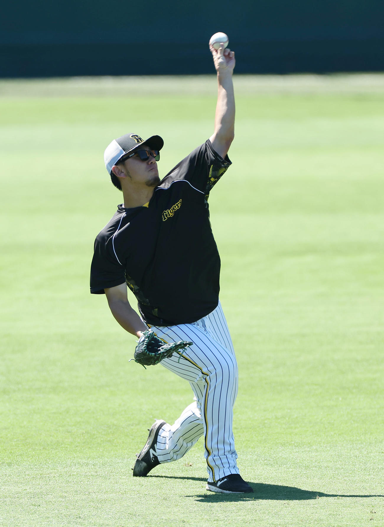 阪神対DeNA　キャッチボールで調整する阪神伊藤将（撮影・前田充）
