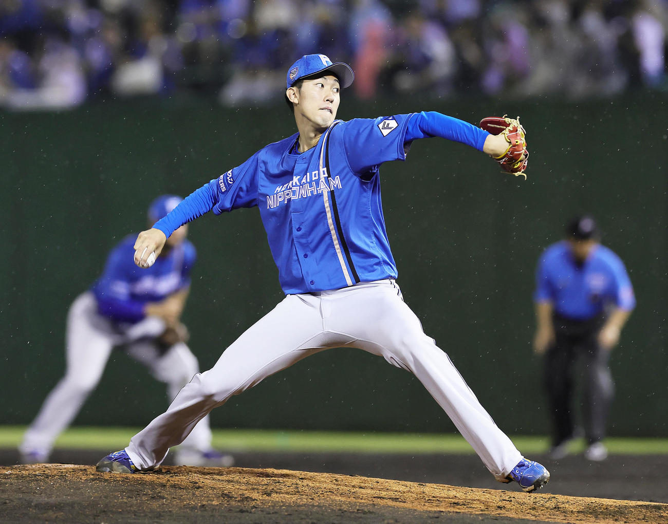 日本ハム福島蓮（2024年6月26日撮影）