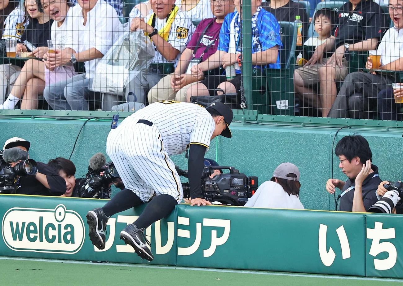 阪神対DeNA 2回表DeNA1死二、三塁、佐藤輝は井上の飛球を追うも捕れず（撮影・上田博志）