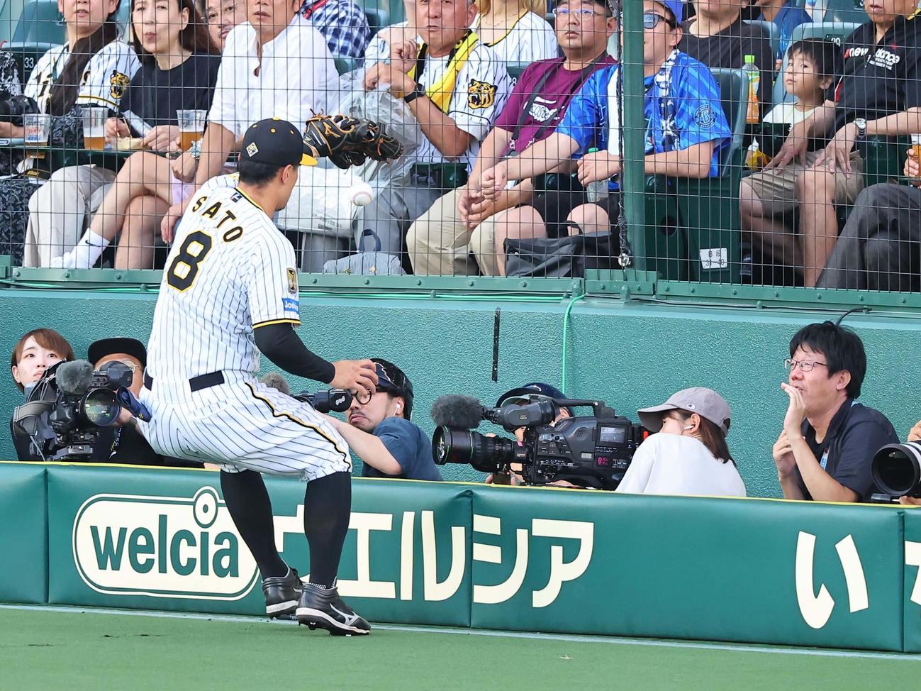 阪神対DeNA 2回表DeNA1死二、三塁、佐藤輝は井上の飛球を追うも捕れず（撮影・上田博志）