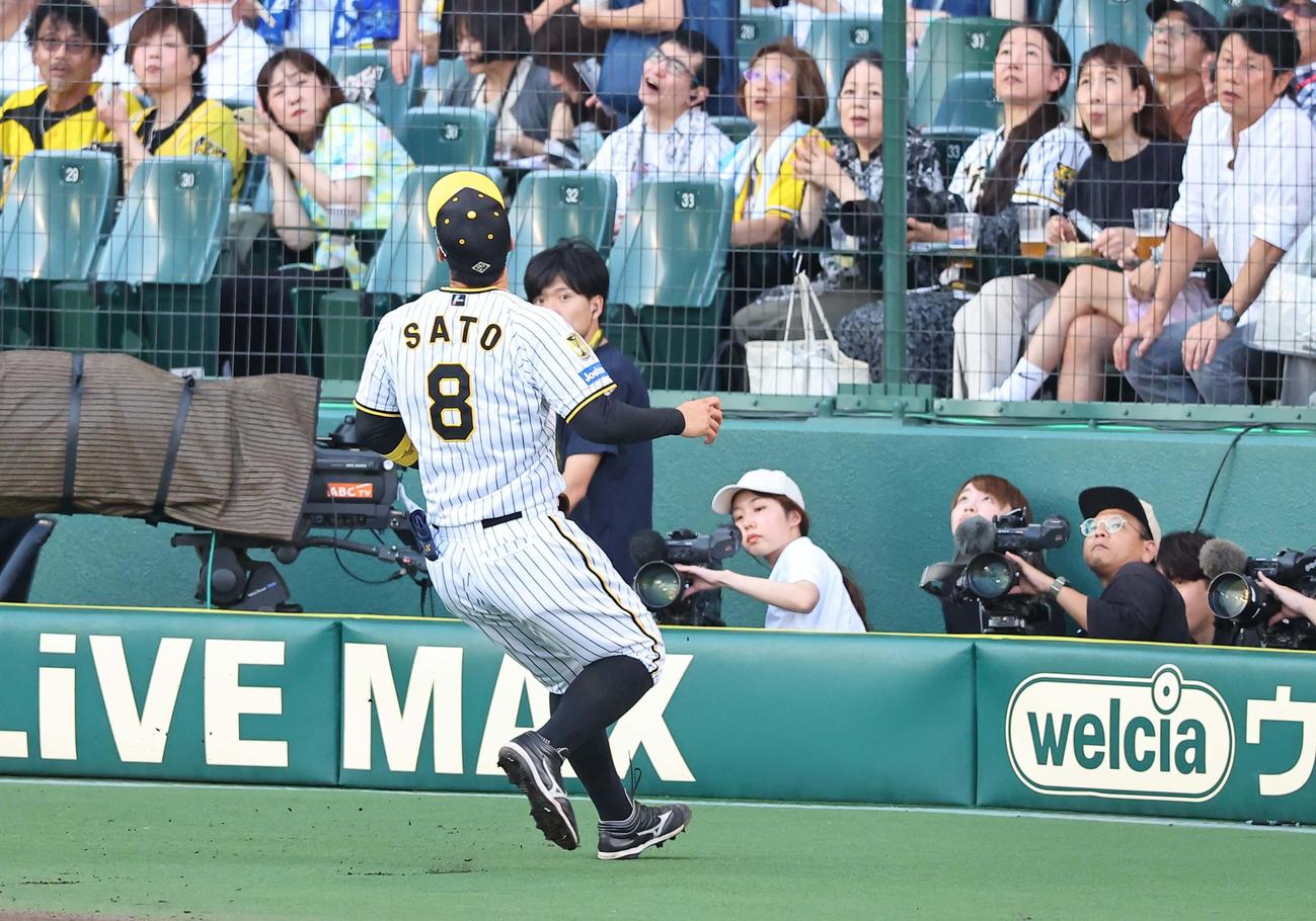 阪神対DeNA 2回表DeNA1死二、三塁、佐藤輝は井上の飛球を追うも捕れず（撮影・上田博志）