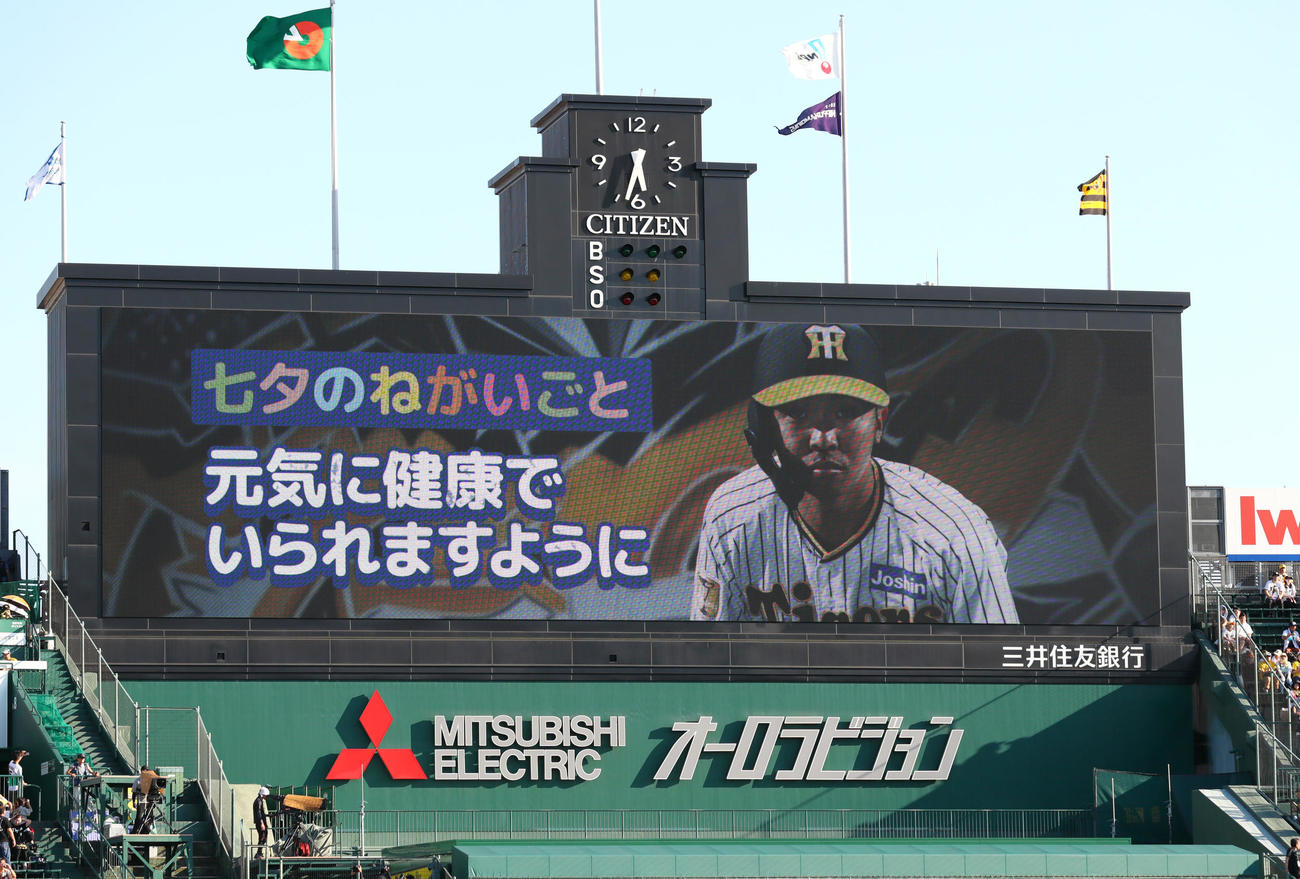 阪神対DeNA　七夕ナイターでビジョンに願い事が表示される（撮影・上山淳一）