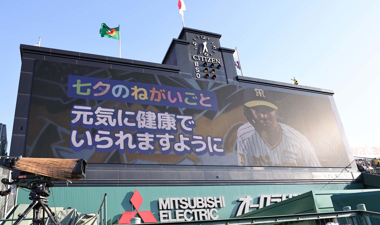 阪神対DeNA　島田の七夕の願い事（撮影・上田博志）