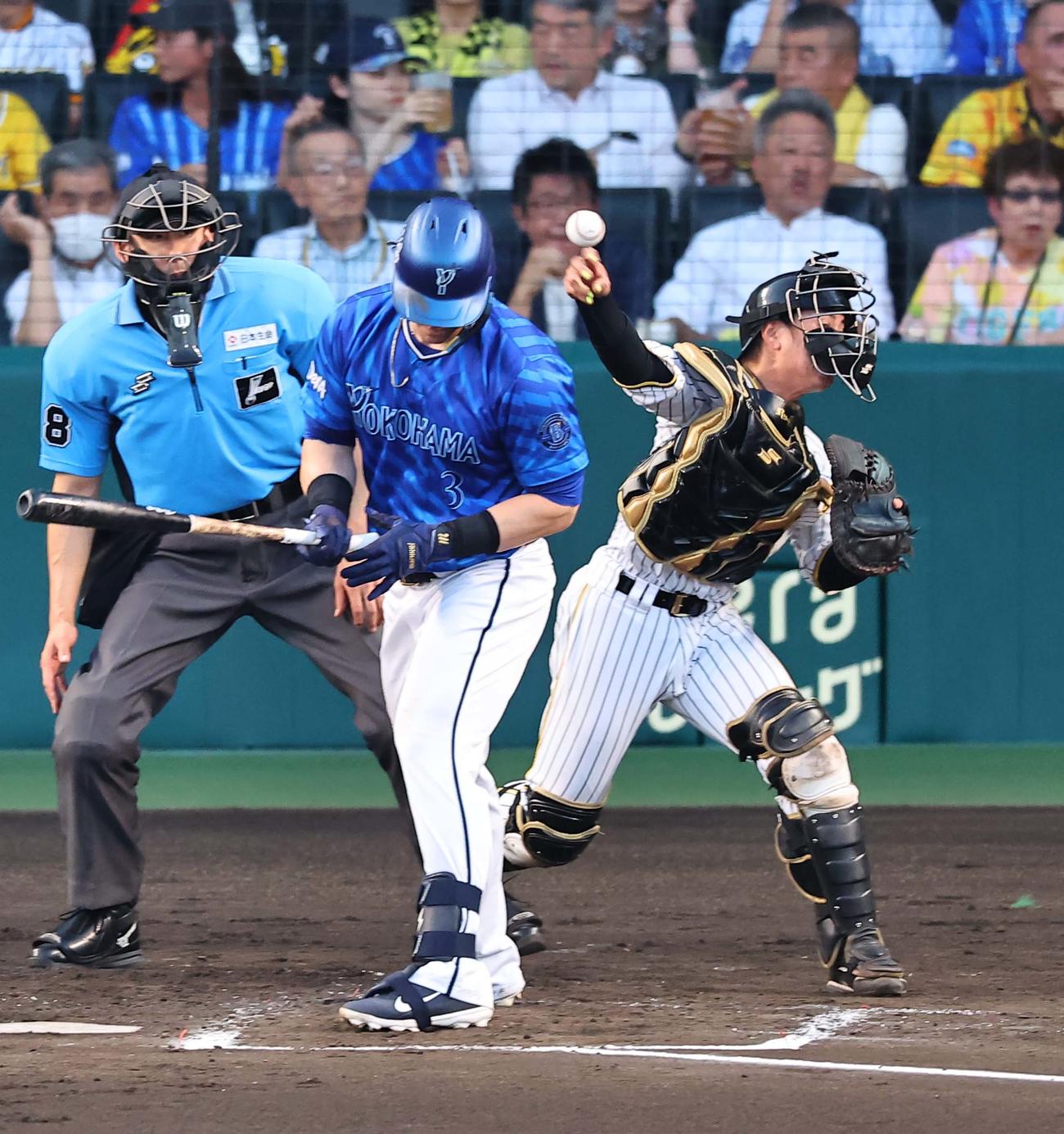 阪神対DeNA 3回表DeNA1死二塁、梅野は三塁へ送球するも梶原の三盗を許す（撮影・上田博志）