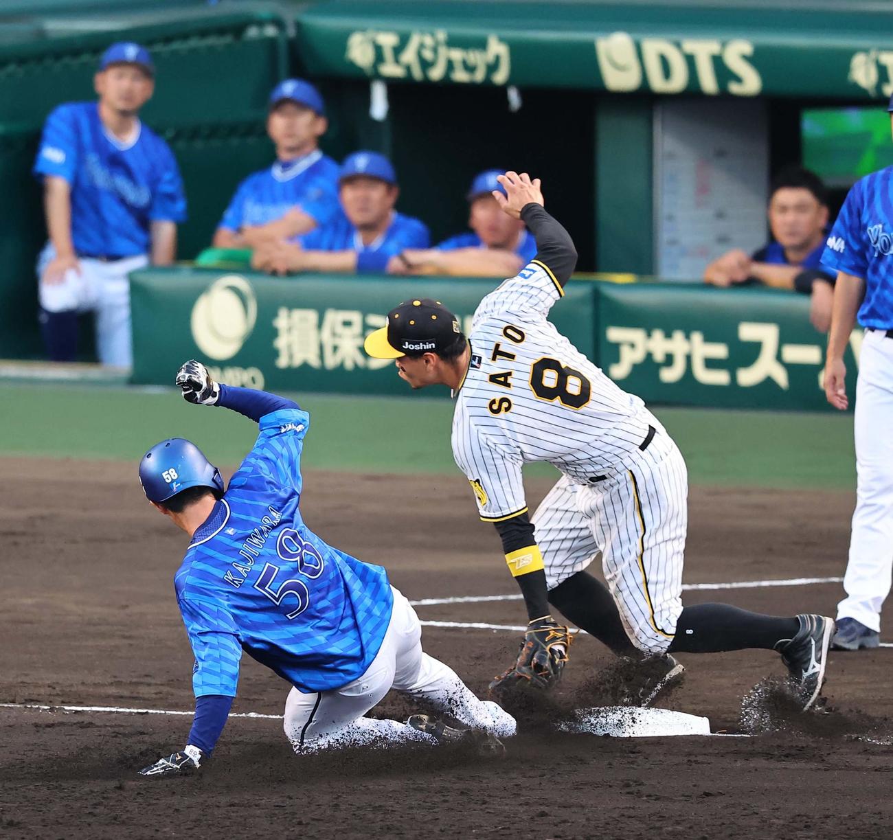 阪神対DeNA 3回表DeNA1死二塁、梶原は三盗を決める。三塁手は佐藤輝（撮影・上田博志）
