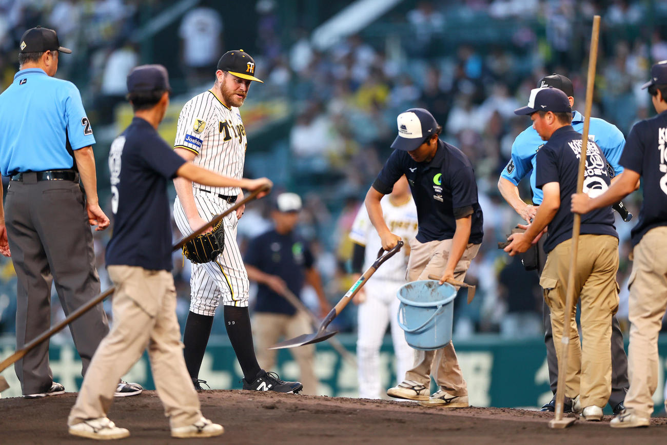 阪神対DeNA 4回表の投球を前にビーズリー（左から3人目）は阪神園芸の職員にマウンドを調整してもらう（撮影・上山淳一）