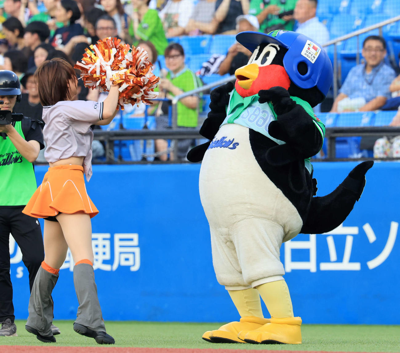 ヤクルト対巨人　試合前、ダンスを披露する巨人のヴィーナスに、ユニホームを上げて「スワローズ」の文字を見せるつば九郎（撮影・浅見桂子）