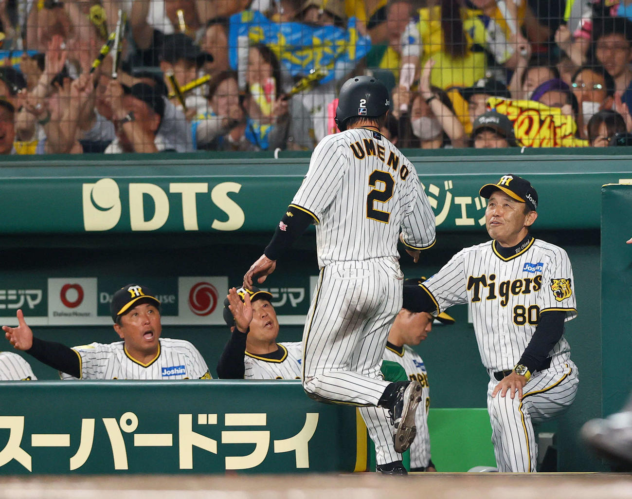 阪神対DeNA 7回裏阪神1死一、三塁、岡田監督（右）は近本の中犠飛で生還の梅野（手前）を出迎える（撮影・上山淳一）