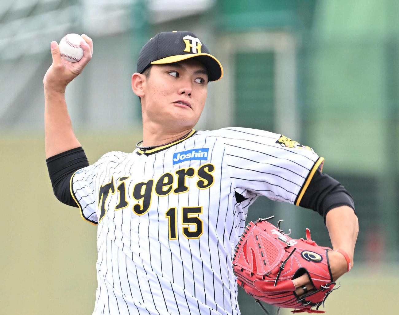阪神西純矢（2024年5月撮影）