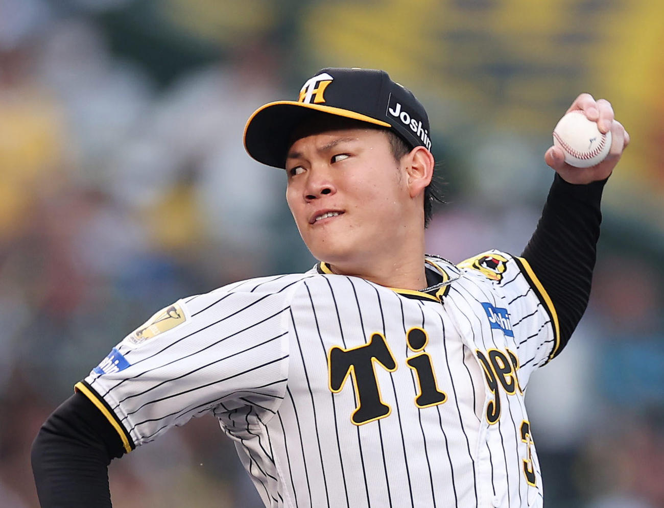 阪神及川雅貴（2024年5月24日撮影）