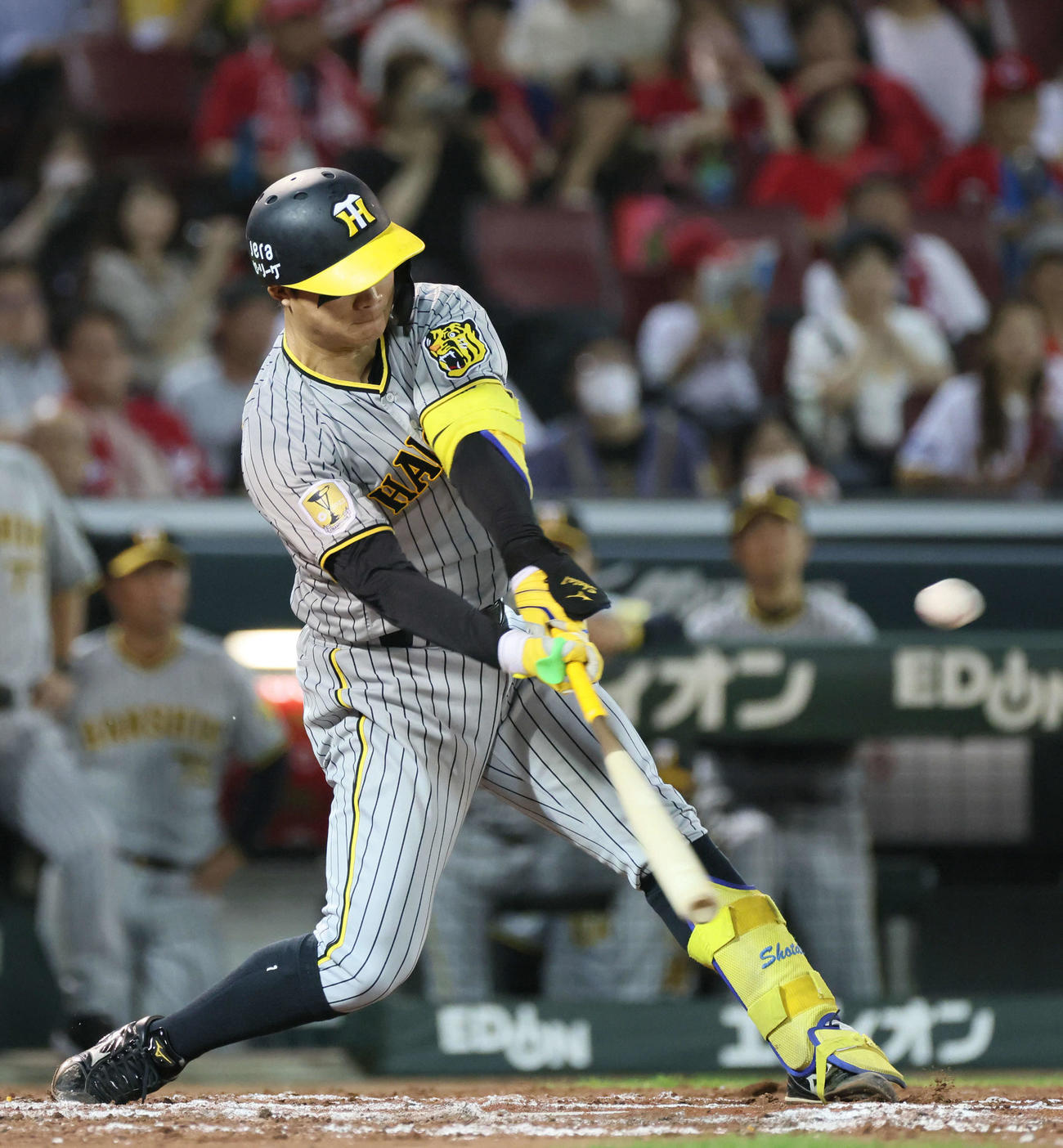 阪神・森下翔太（2024年7月2日撮影）