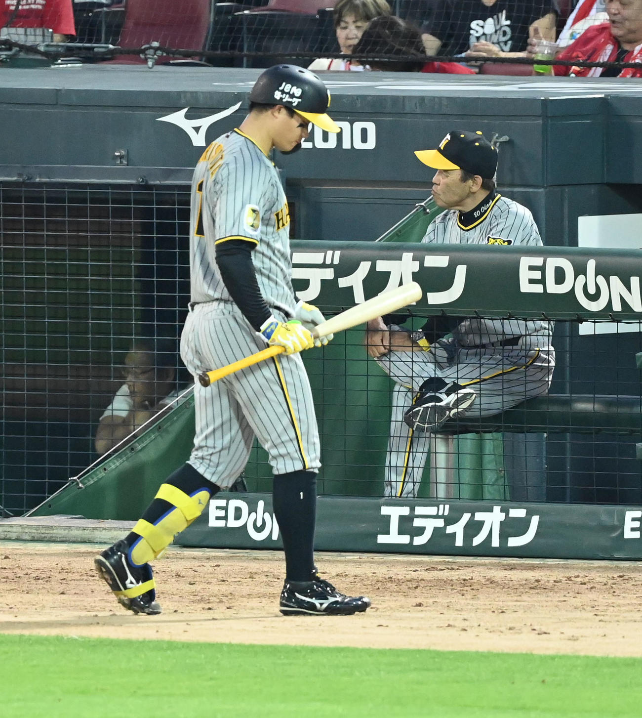2日の広島対阪神戦で、見逃し三振に倒れた森下翔太（左）から視線をそらす岡田彰布監督（2024年7月2日撮影）