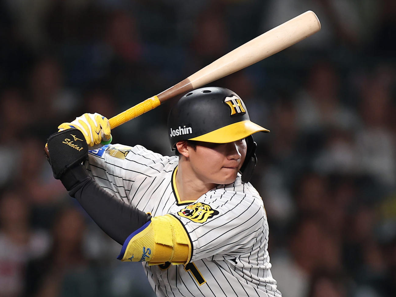 阪神森下翔太（2024年7月5日撮影）