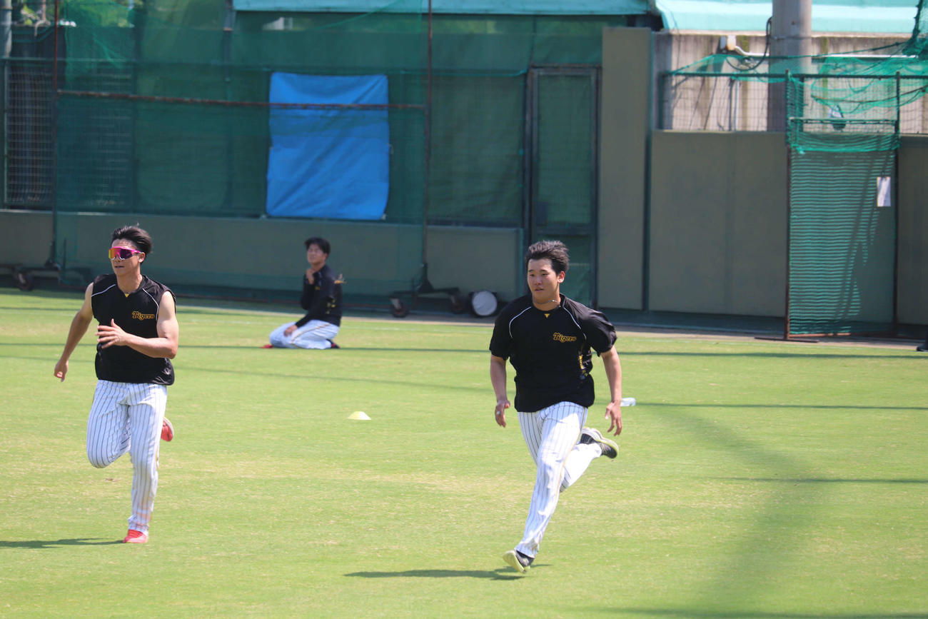 ファームで調整を行う阪神門別啓人投手（右）（撮影・波部俊之介）