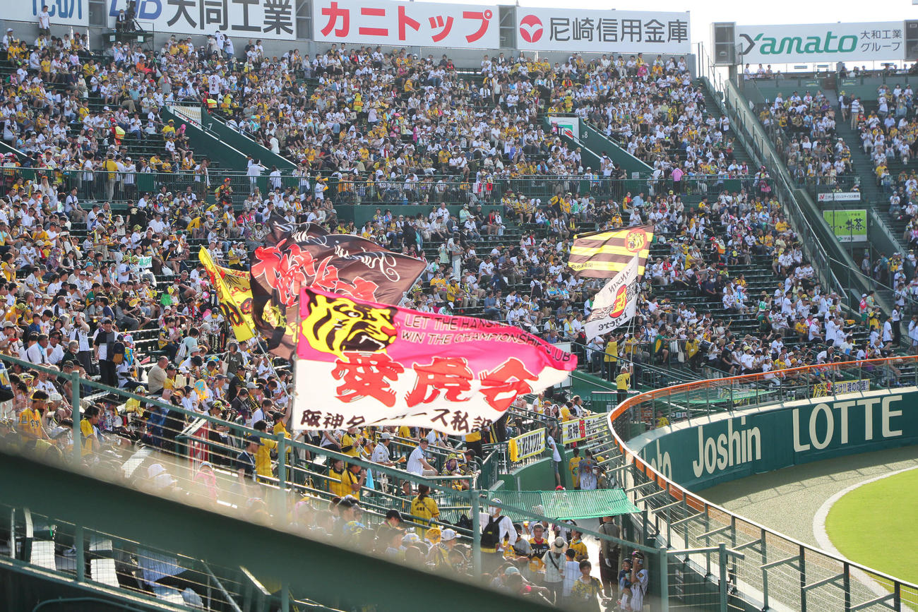 阪神対DeNA　応援する阪神ファン（撮影・宮崎幸一）