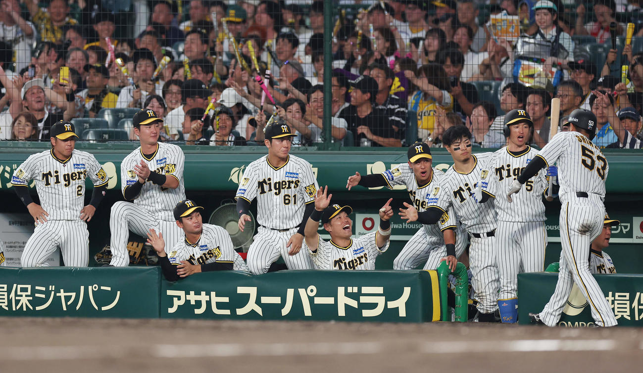 阪神対DeNA 5回裏阪神1死三塁、小幡の適時打で生還した島田（右端）を迎える阪神ナイン）（撮影・前田充）
