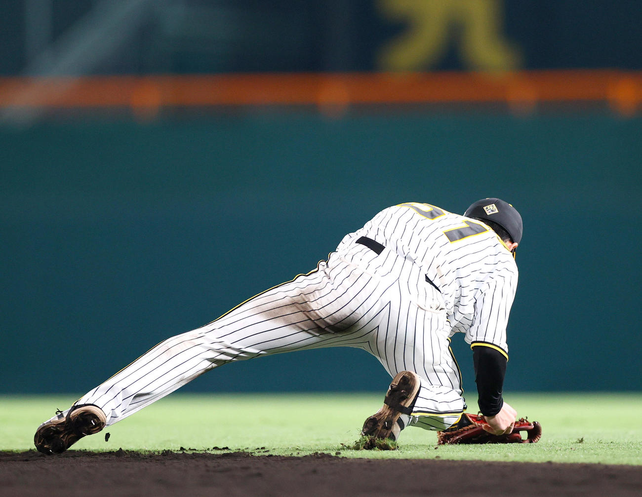 阪神対DeNA 8回表DeNA1死、二塁手中野は森敬の打球を取りアウトにする（撮影・上山淳一）