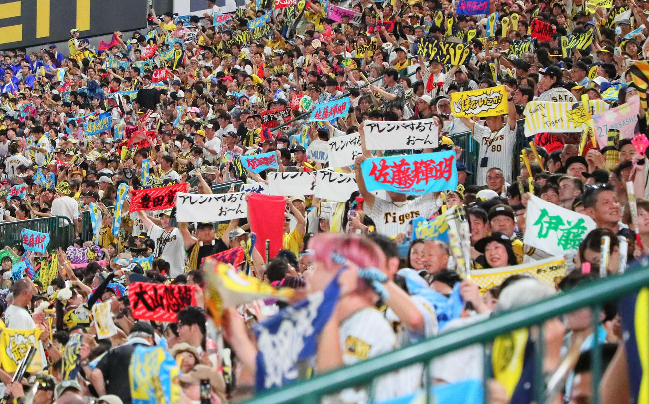 阪神対DeNA　佐藤輝をたたえる阪神ファン（撮影・宮崎幸一）