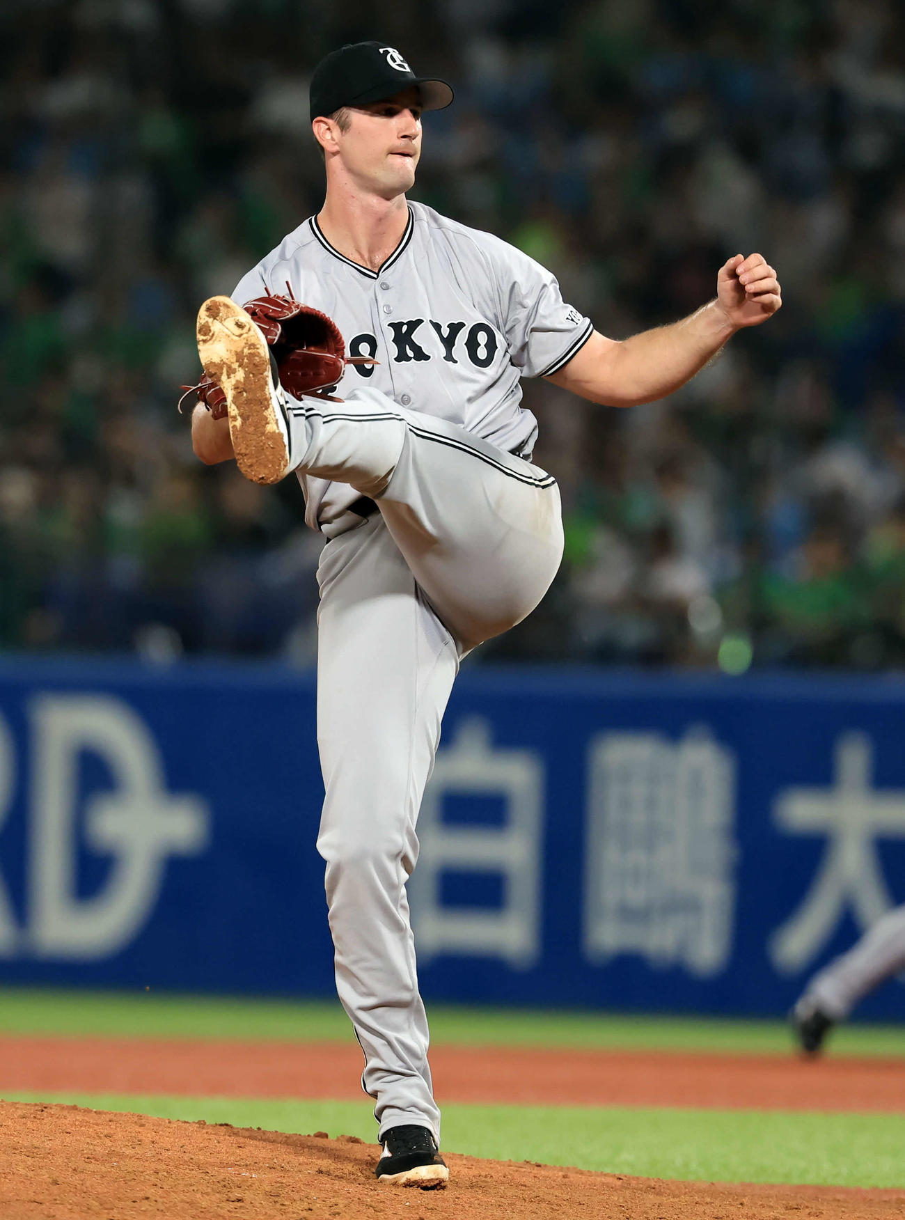 ヤクルト対巨人　5回裏ヤクルトの攻撃で力投を続けるグリフィン（撮影・浅見桂子）