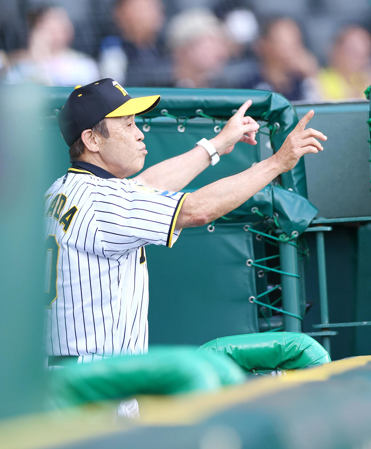 阪神対DeNA 1回表DeNA無死二塁、二走梶原のけん制セーフに対しリクエストする阪神岡田監督。結果成功（撮影・上山淳一）