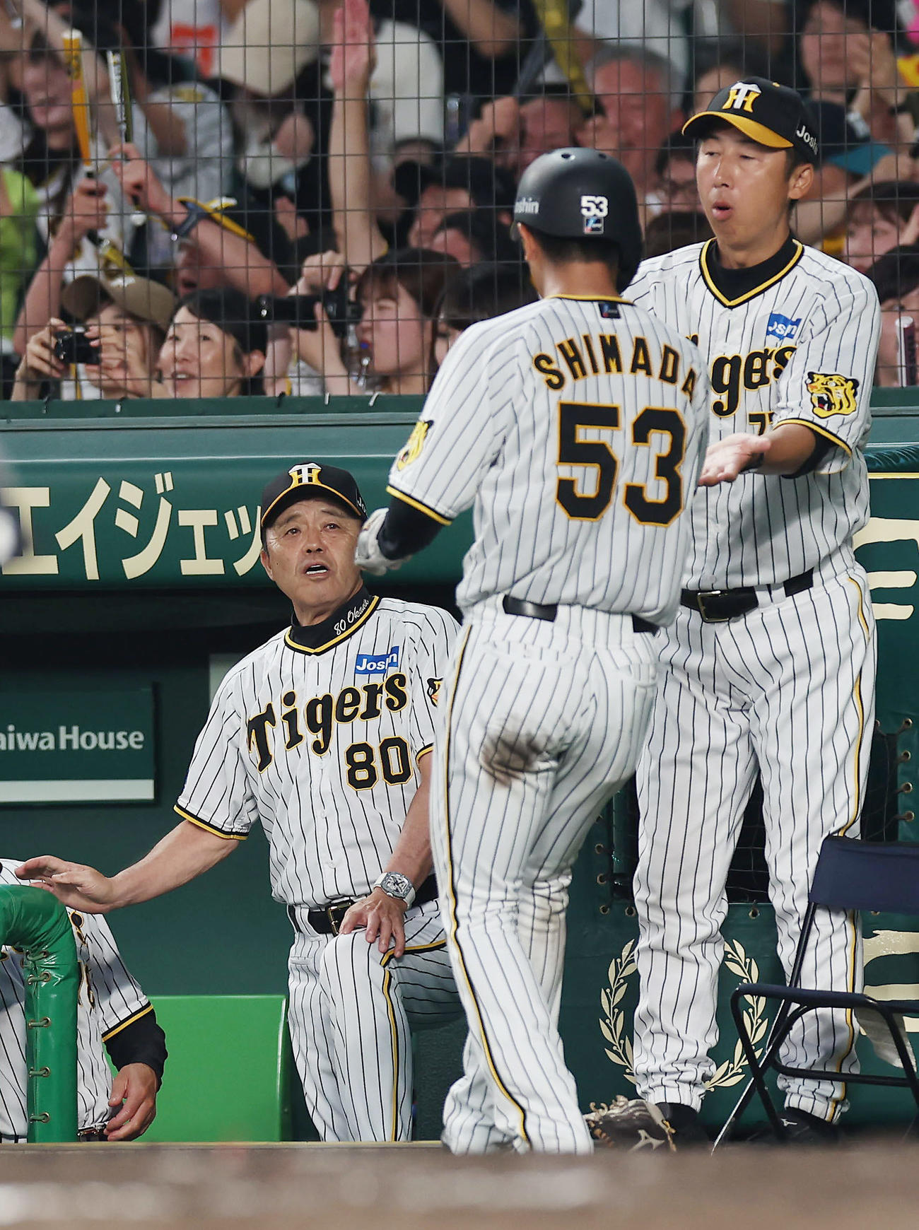 阪神対DeNA 5回裏阪神1死三塁、小幡の適時打で生還した島田（中央）を迎える岡田監督（左）（撮影・前田充）