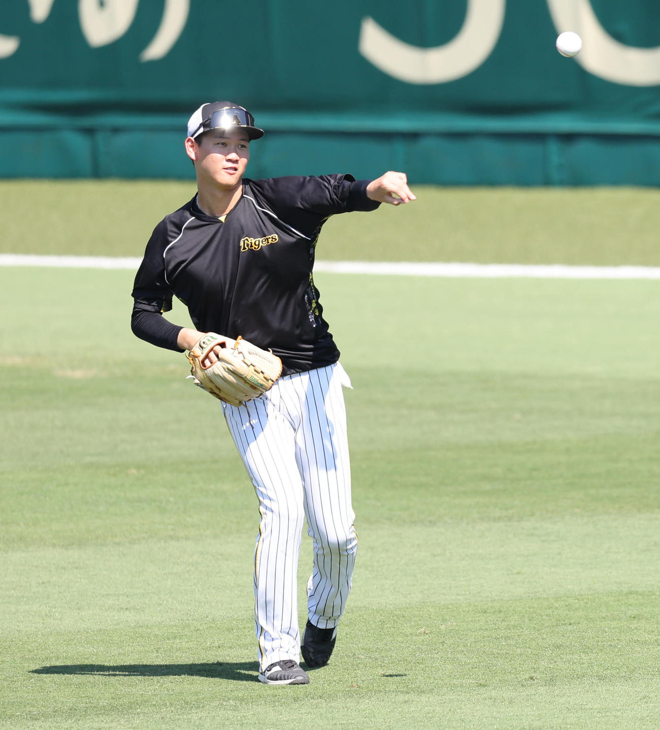 阪神対DeNA　キャッチボールする及川（撮影・宮崎幸一）