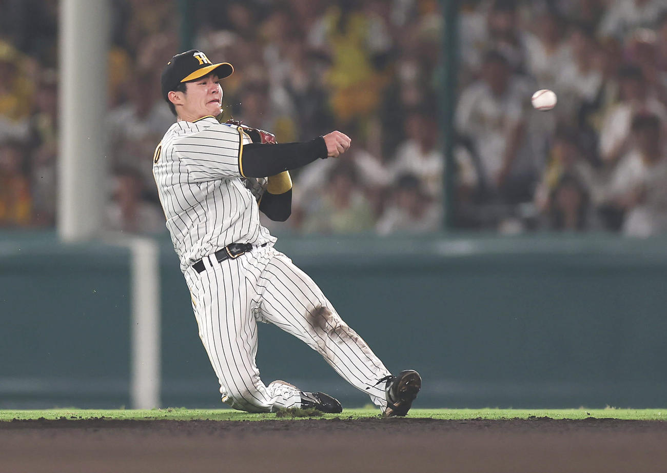 阪神対DeNA 8回表DeNA1死、森敬の二ゴロで好守を見せる中野（撮影・前田充）