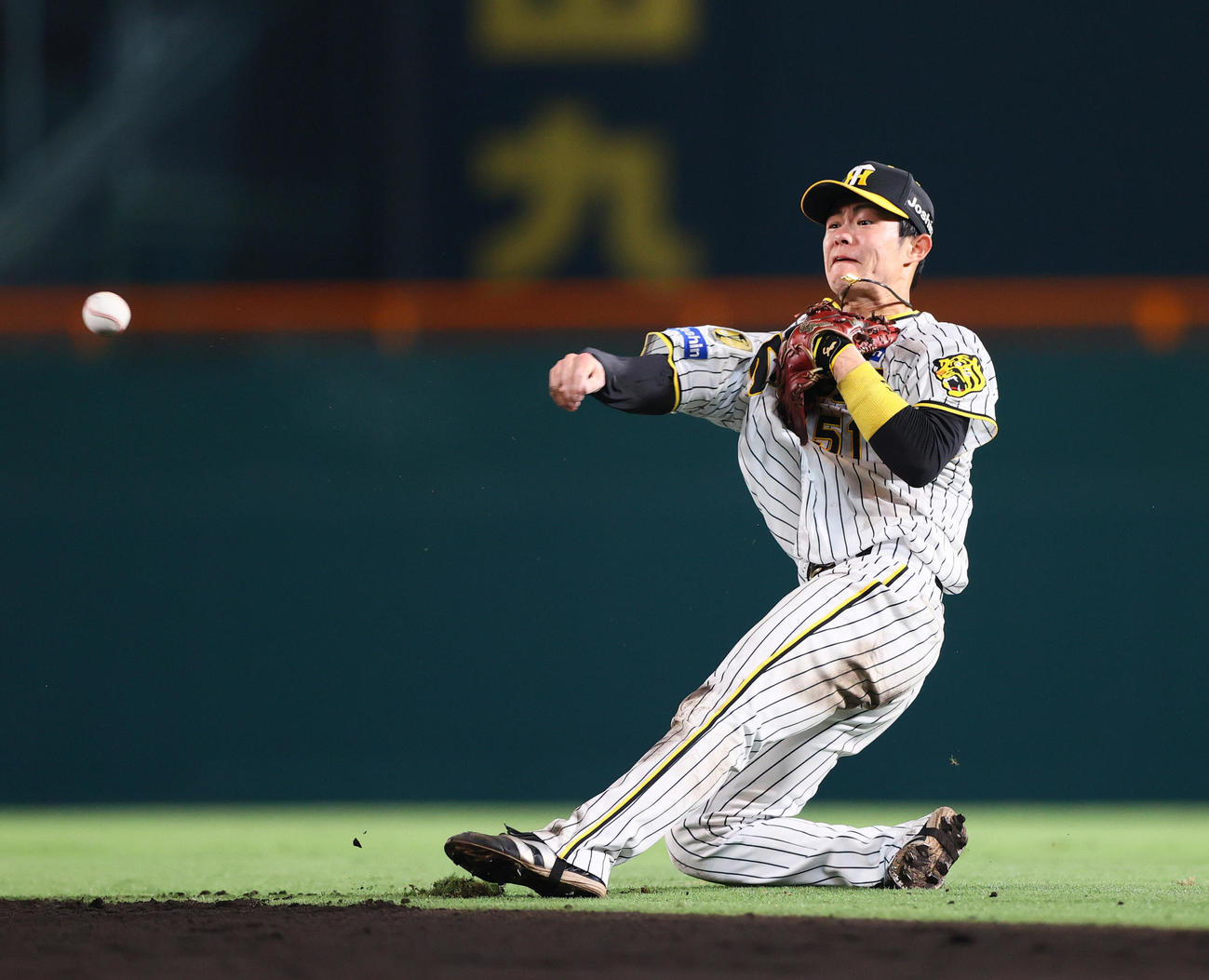 阪神対DeNA　8回表DeNA1死、二塁手中野は森敬の打球を取りアウトにする（撮影・上山淳一）