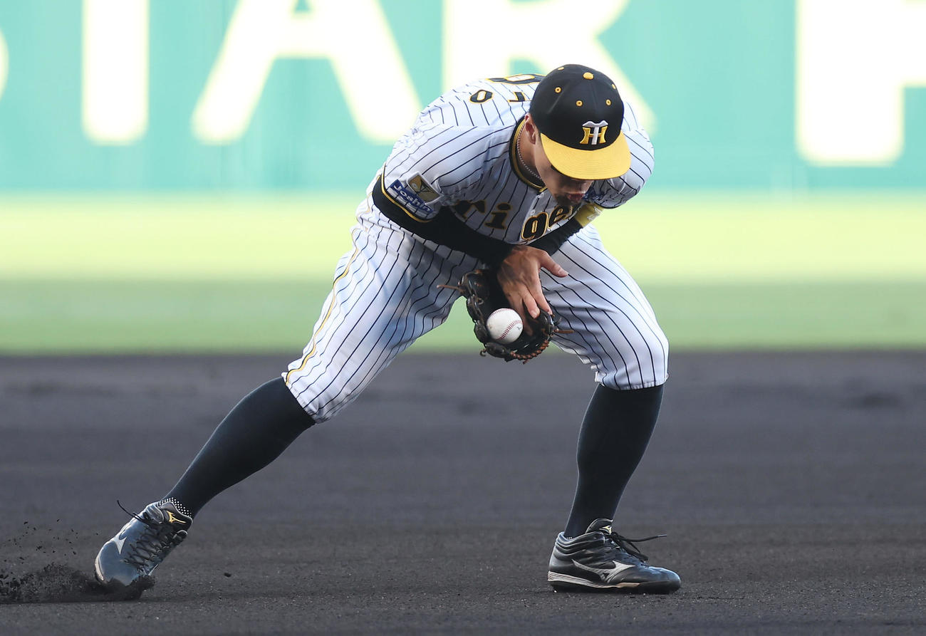 阪神対DeNA 1回表DeNA無死、桑原の三ゴロをファンブルする佐藤輝（撮影・前田充）