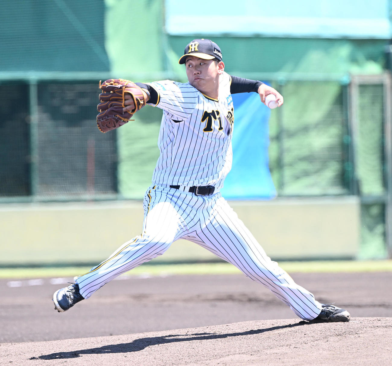 阪神門別啓人（2024年5月25日撮影）