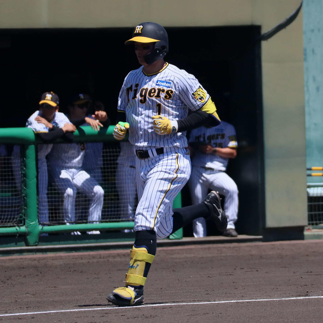 日本生命との交流試合で4回にソロ本塁打を放ち、生還する阪神森下（撮影・村松万里子）