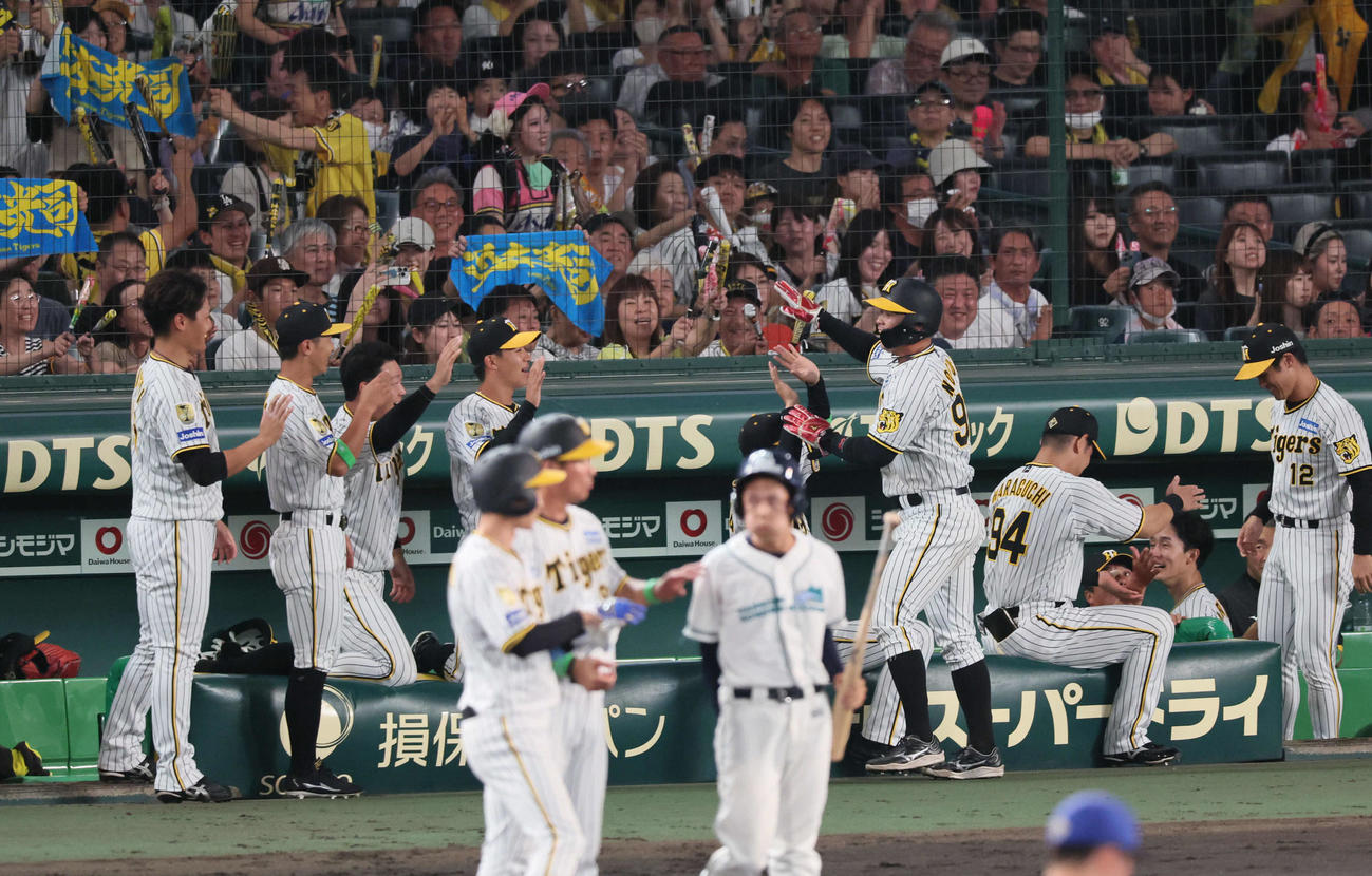 阪神対DeNA 5回裏阪神無死三塁、野口は近本の適時打で生還し、ナインとハイタッチ（撮影・宮崎幸一）
