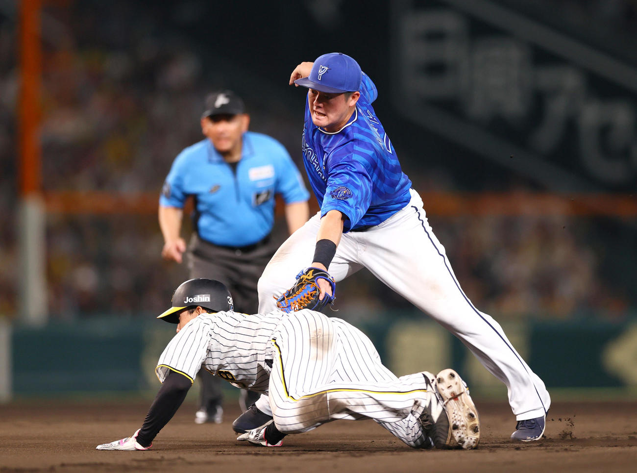 阪神対DeNA 8回裏阪神1死一、二塁、二塁手牧（右）は野口の二ゴロを取り一走小幡竜平をタッチアウトにする（撮影・上山淳一）