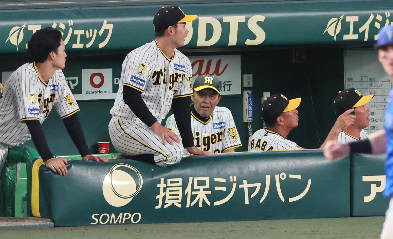 阪神対DeNA 8回裏阪神2死満塁、中野の右前適時打で同点ならず、微妙な雰囲気の岡田監督（中央）ら（撮影・宮崎幸一）